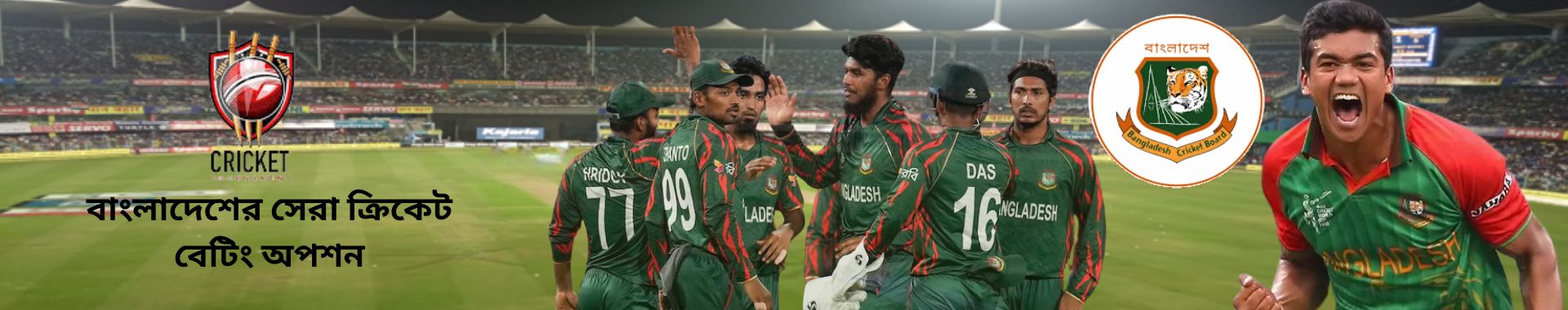 online cricket batting