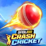 Crash cricket